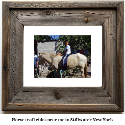 horse trail rides near me in Stillwater, New York